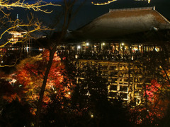 清水寺　紅葉ライトアップ3