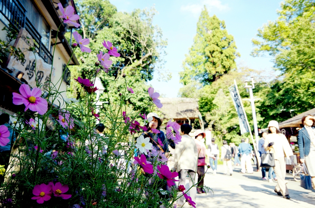 深大寺