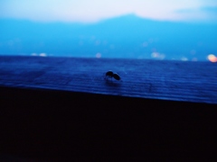 お騒がせ