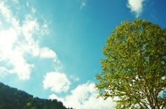 空