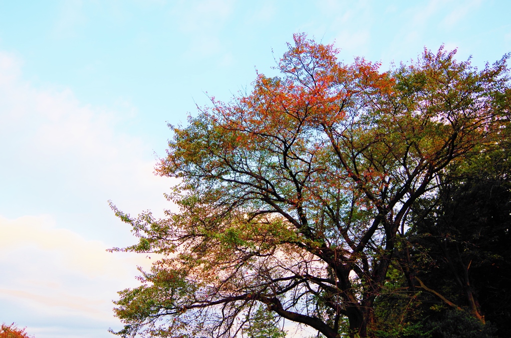 In autumn