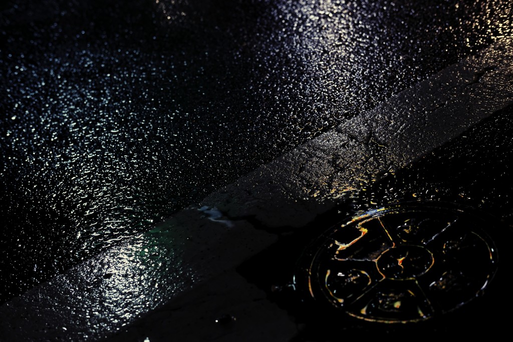 after the rain