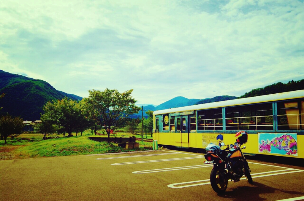 TRIP