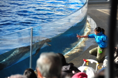 京都水族館