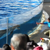 京都水族館