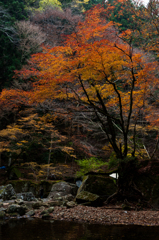 七色岩
