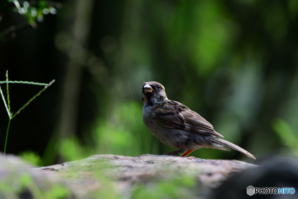 何見てる・・・