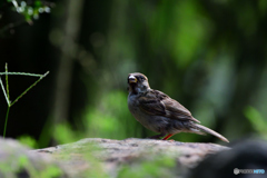 何見てる・・・