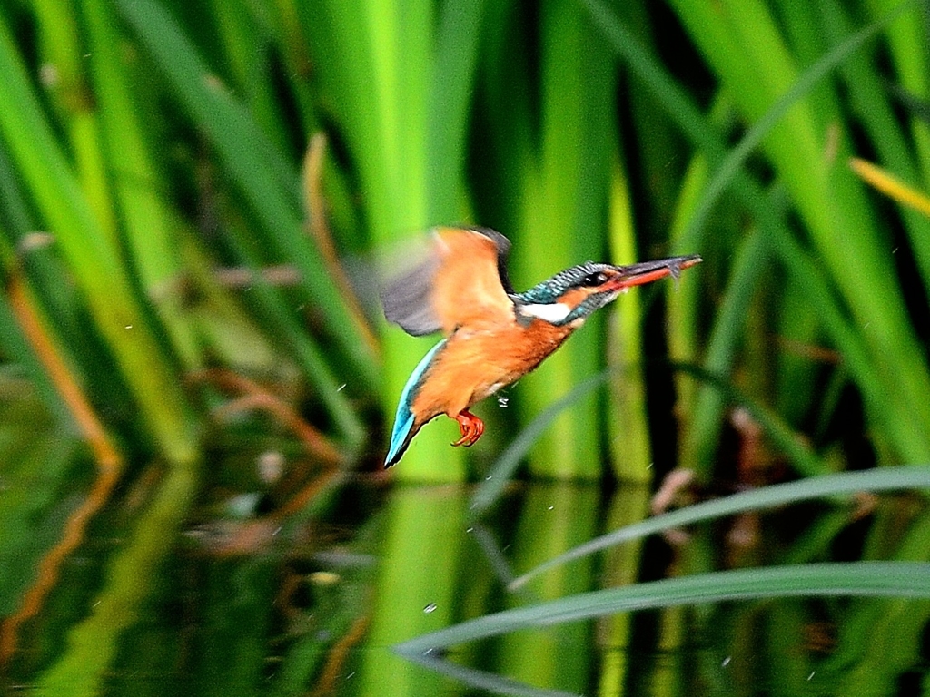 DSC_4566