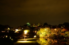 岡山後楽園・幻想庭園②