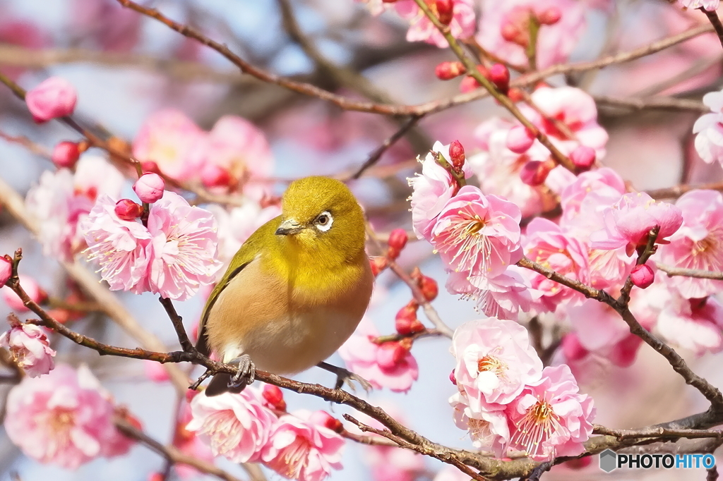 春も近い