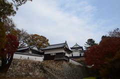 天空の城・備中松山城