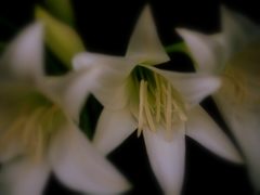 P6260020
