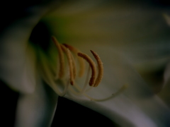 P6260013