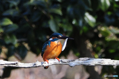 やっとこさっ！