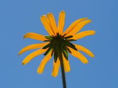 P7260041