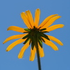 P7260041