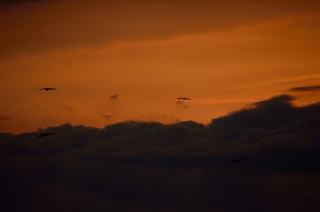 DSC_0182