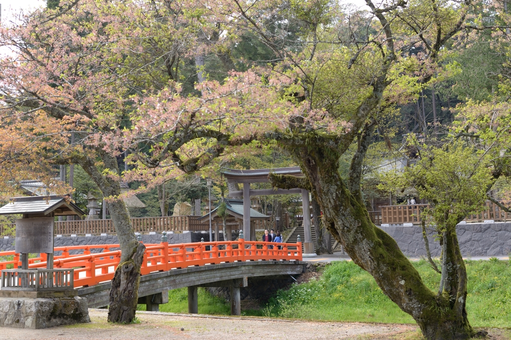 熊野大社・出雲一の宮