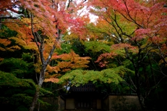 井山宝福寺②