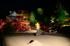 井山宝福寺・ライトアップ③