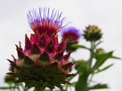 P6280382