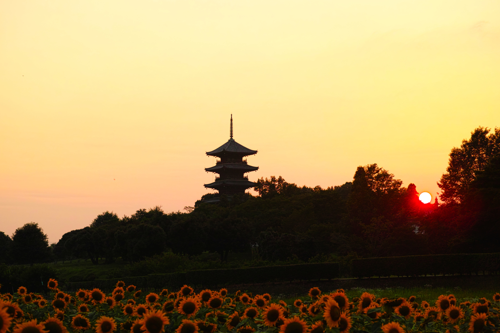 備中国分寺①