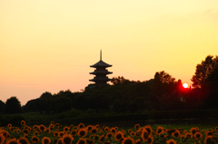 備中国分寺①