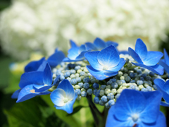 P7020226