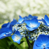 P7020226