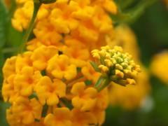 P8090979
