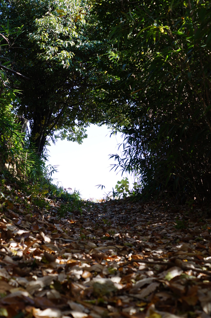 DSC00075