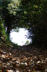 DSC00075