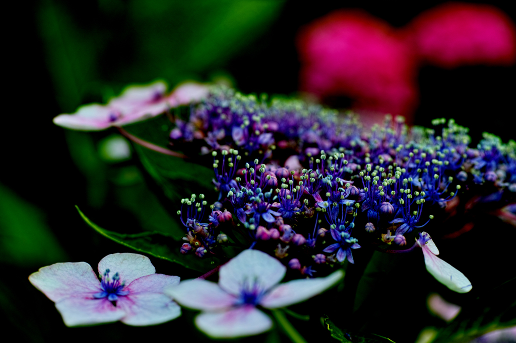 SDIM0565