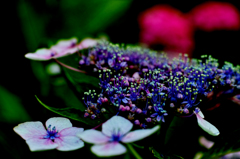 SDIM0565