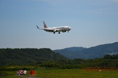 飛行機来たよぉ～