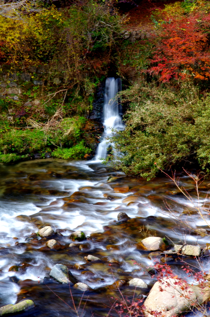 IMGP0859