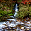 IMGP0859