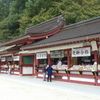 太宰府八幡宮⑤
