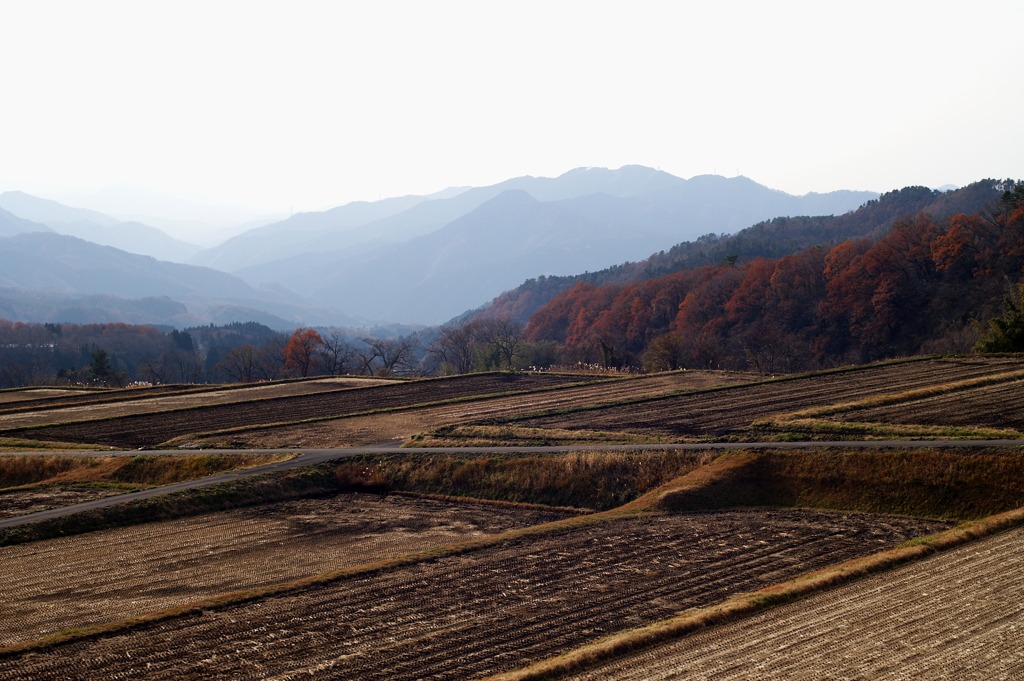 PICT0042