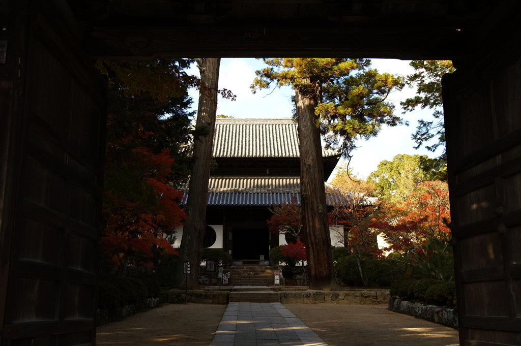 宝福寺・紅葉３