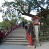 太宰府八幡宮④