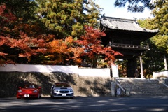 宝福寺・紅葉４
