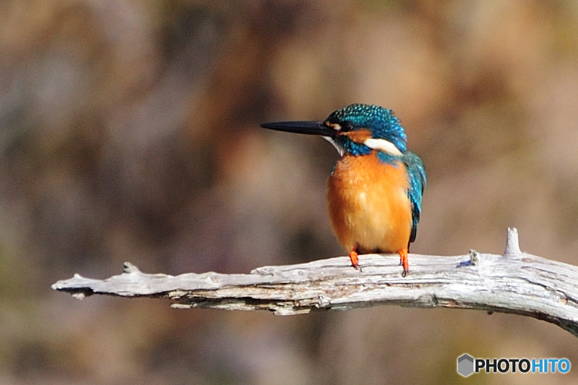 平行・・・（笑う