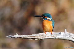 平行・・・（笑う