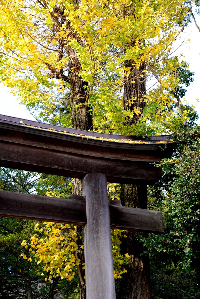 鳥居