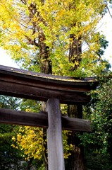 鳥居