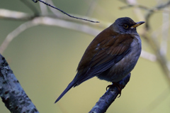 何か・・・？！