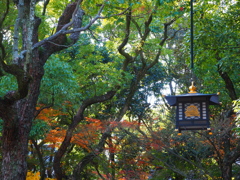 湊川神社・神戸③