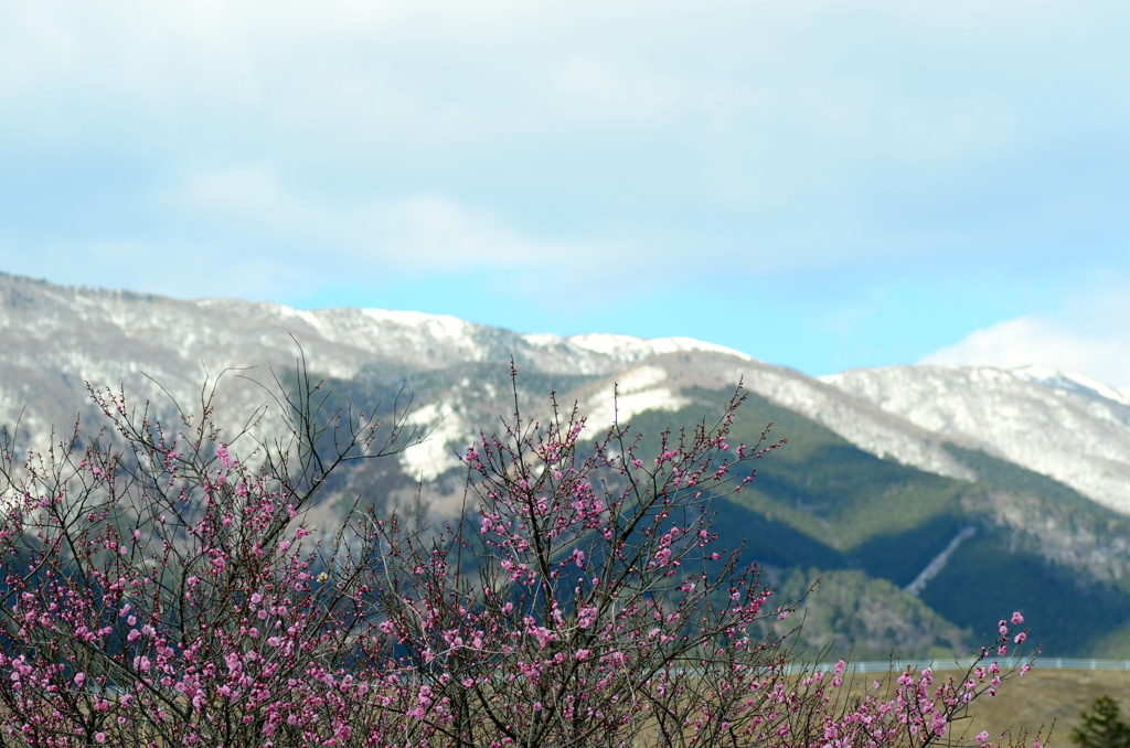 那岐山